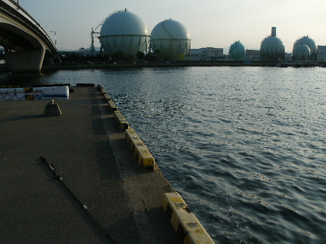 博多湾奥でサゴシと太刀魚が釣れ始めました 福岡近郊のルアースポットの座標軸